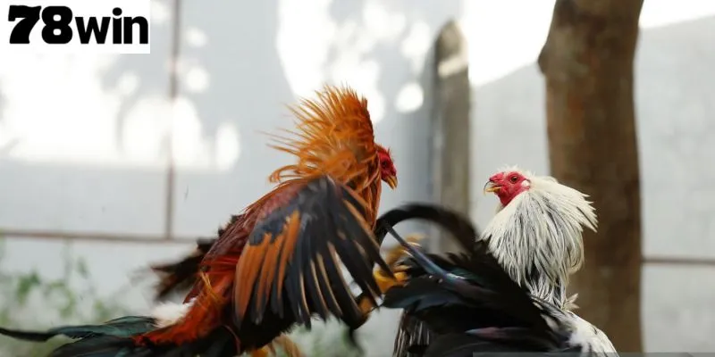 การรู้ให้ชัดทั้งจุดแข็งและจุดอ่อน คือกุญแจสู่ชัยชนะ